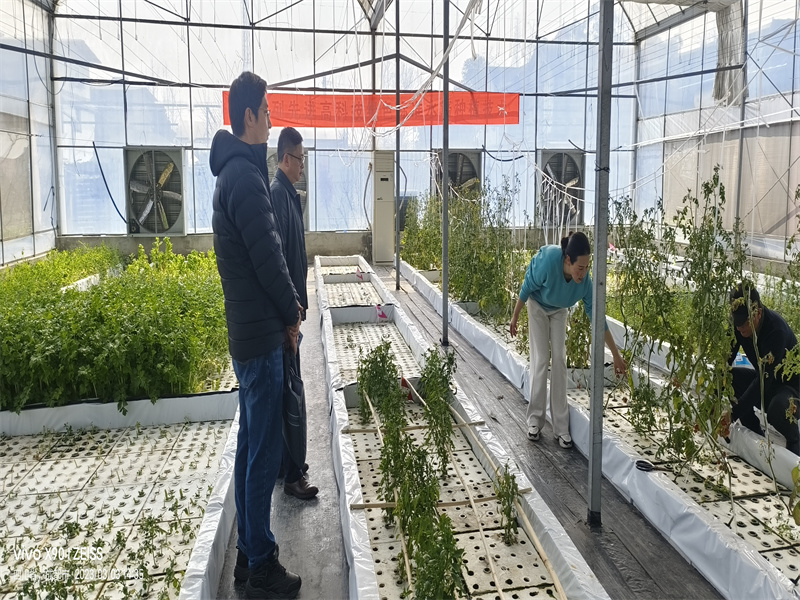 1679464325902021199.jpg 7602546a74a3784c879853c558ad0db.jpg